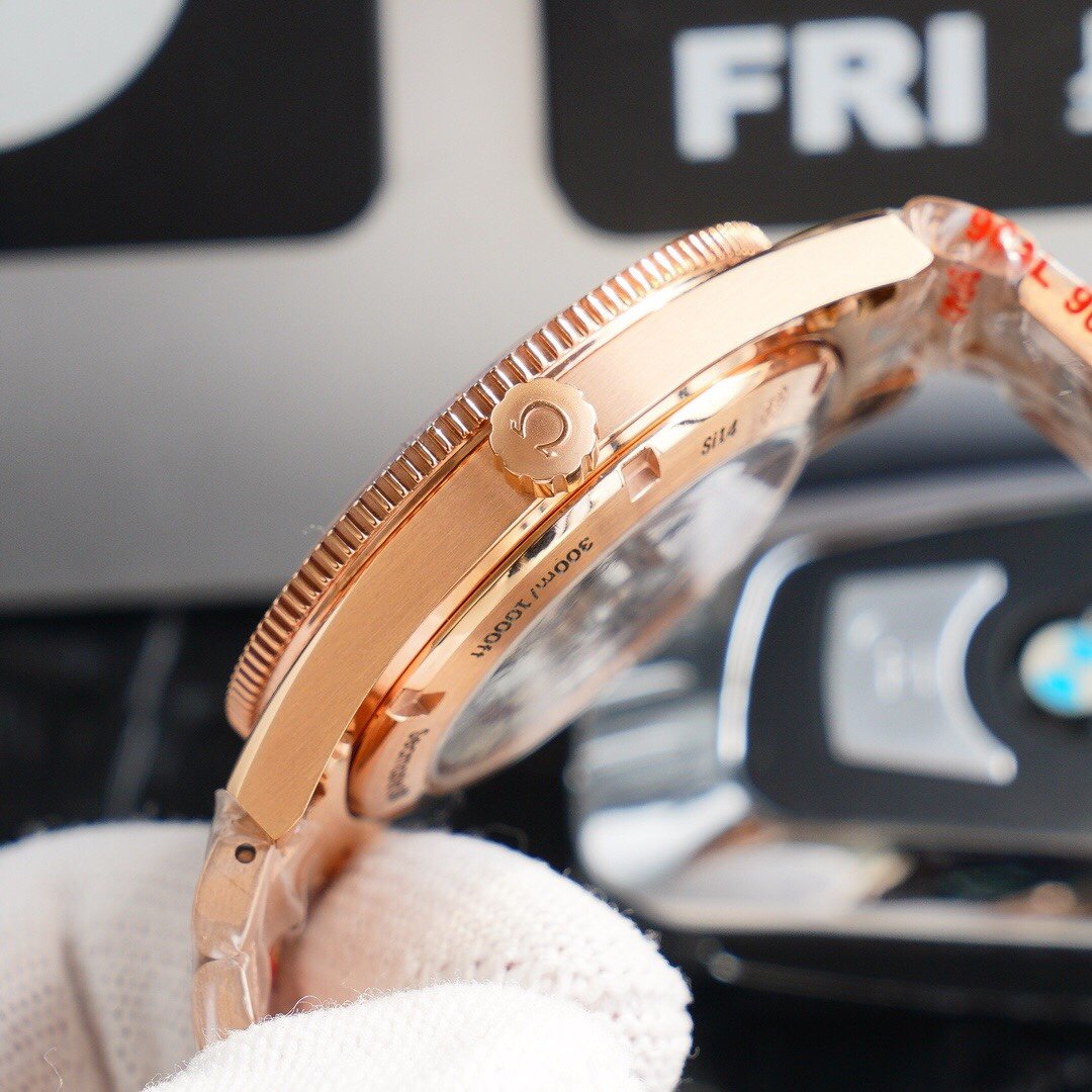 SEAMASTER 300M CO-AXIAL STEEL